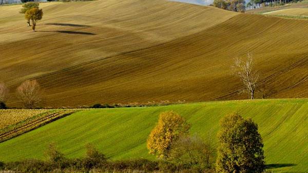 Agroalimentare italiano, fattori di competitività e prospettive