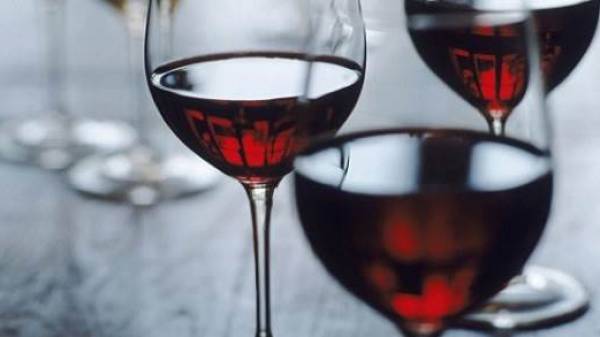 Sudafrica, il settore vinicolo chiede di non aumentare le accise