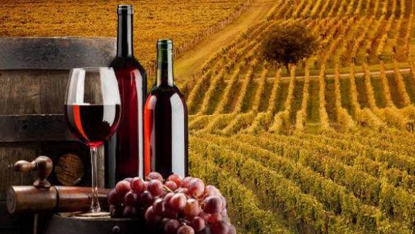 Dop e Igp: il vino archivia un 2021 di solida crescita