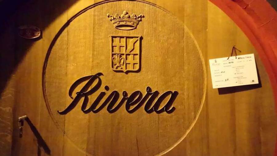Puglia: rubate 35.000 barbatelle alla cantina Rivera