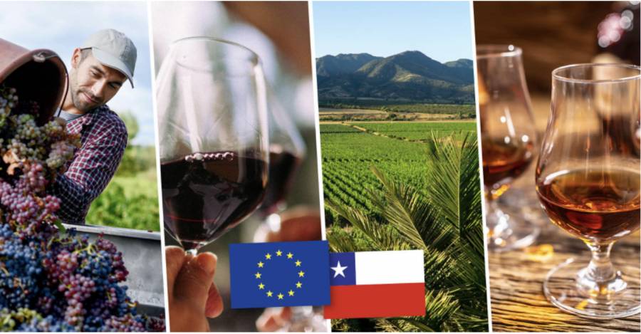 In vigore il nuovo accordo con il Cile su vini e spiriti