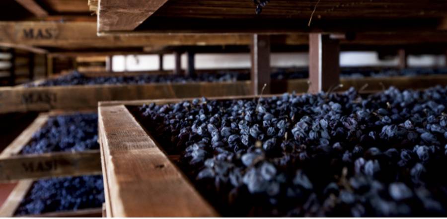 Completato il dossier Unesco sull’appassimento delle uve Valpolicella