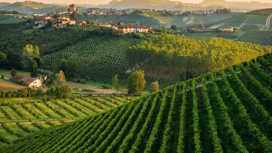 Un bicchiere di speranza. Debutta domani il film “Artedivino” sull’economia, i territori, l’arte e la cultura del vino in Italia
