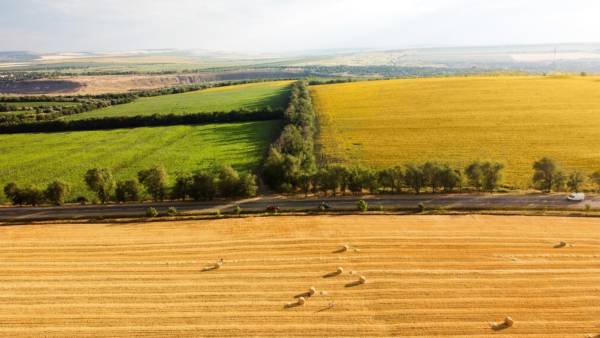 Proteste degli agricoltori, la Ue rinnova le deroghe sui terreni incolti