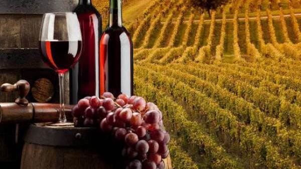 Resa massima di uva per ettaro per i vini generici: altre novità in arrivo