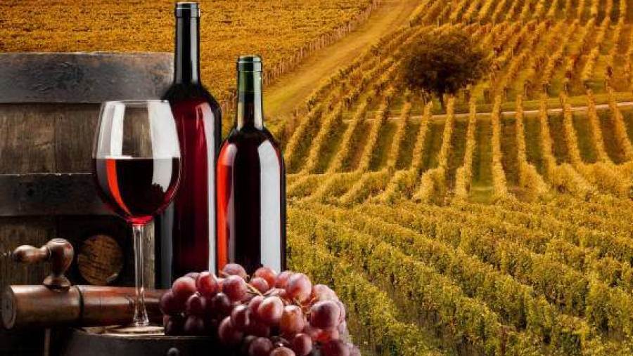 Barbera d’Asti e Vini del Monferrato chiudono il 2020 &quot;in tenuta&quot;: stabili vendemmia e imbottigliato