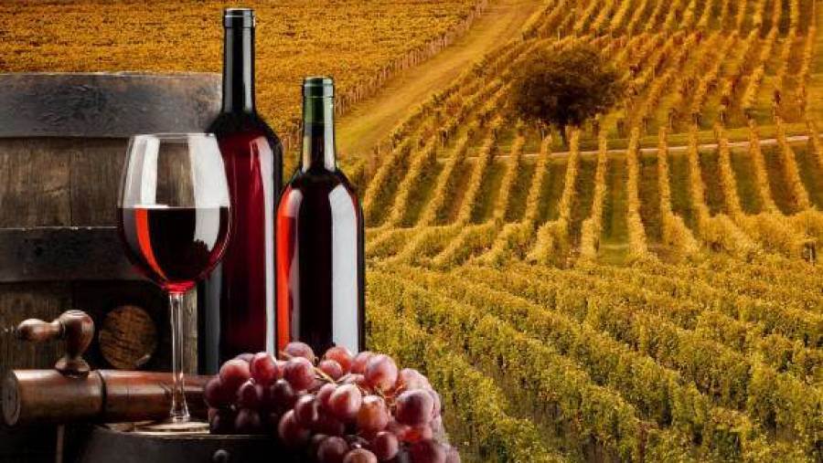 Wine Lover&#039;s Index rivela che l&#039;Italia è la meta ideale per gli amanti del vino