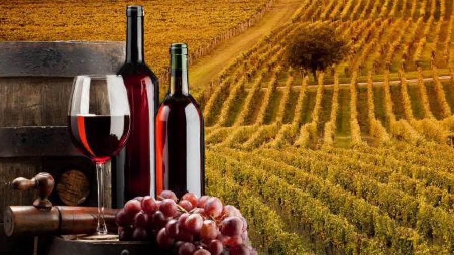 Nuove modifiche al DM sulle rese massime di uva per ettaro per i vini generici
