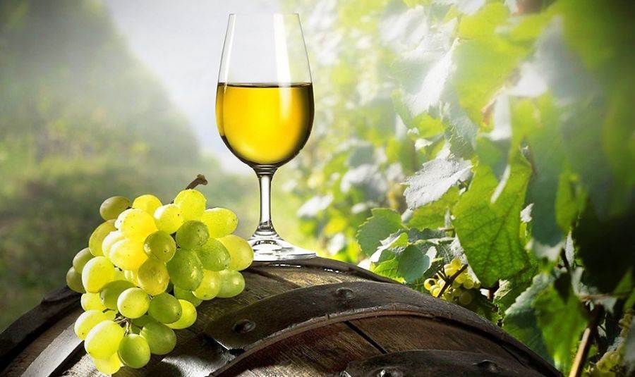 Associazione dei Vini Veronesi e Vinho Verde: siglato l&#039;accordo di collaborazione da 2,3 milioni di euro