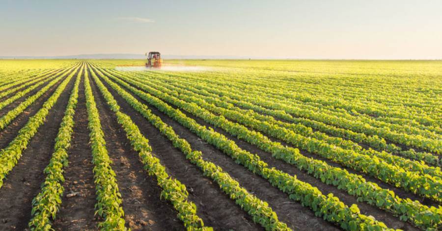 Dai mutui agrari al credito d’imposta, le nuove misure del Governo a sostegno delle imprese agricole