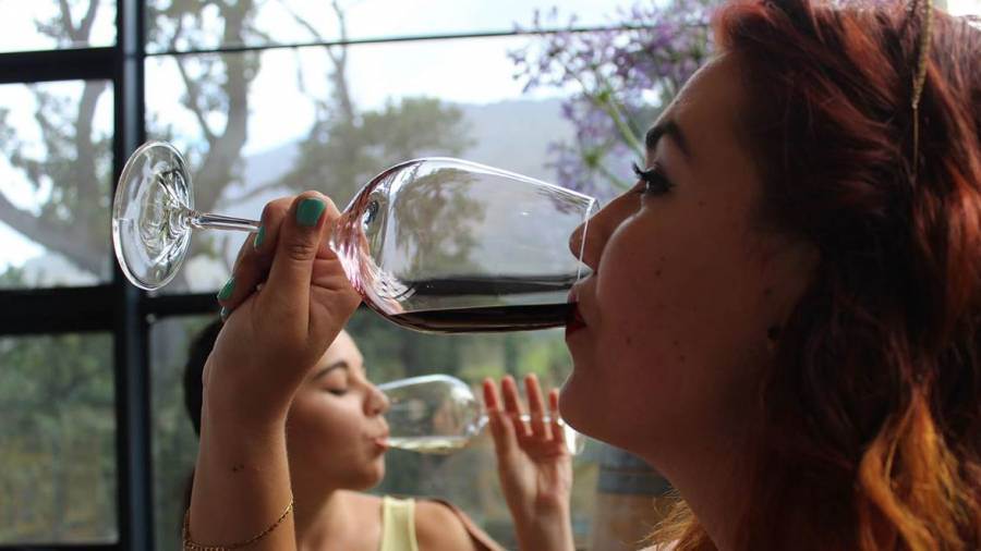 Ismea, come la pandemia ha inciso sui consumi di vino a spiriti nel primi nove mesi del 2020