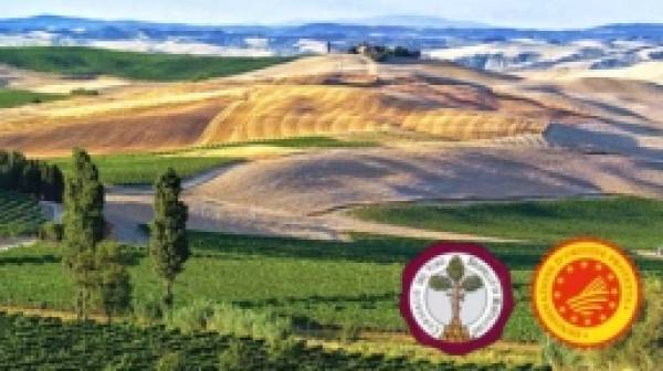 Brunello di Montalcino Dop è il rosso italiano più presente nelle wine list Usa