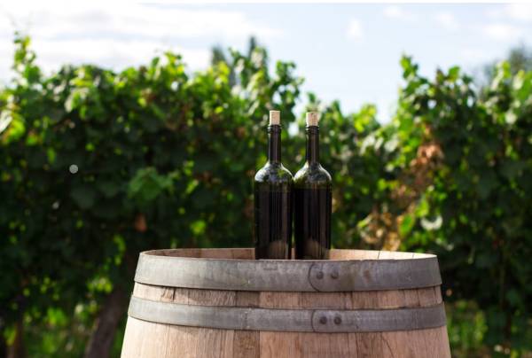 Argentina: produttori vinicoli in campo contro la proposta del governo di dazi all’export