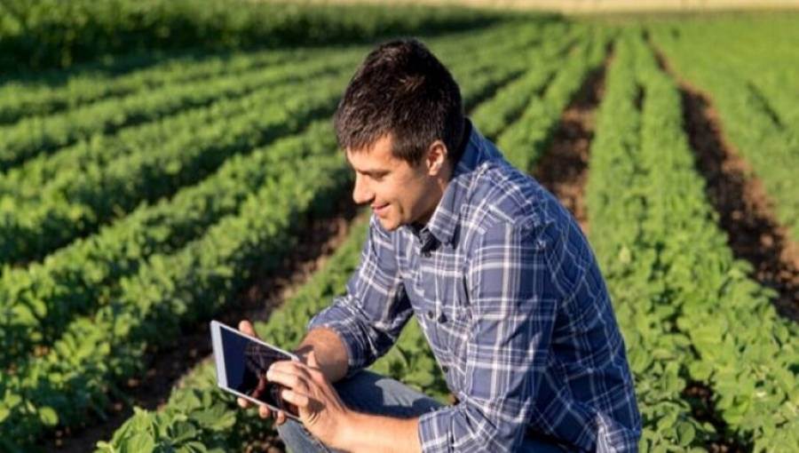 Aziende agricole degli under 40: più redditive, tecnologiche e sostenibili