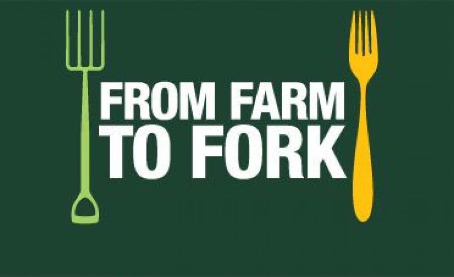 Strategia &quot;Farm to Fork&quot;: non solo appelli, ci saranno norme Ue per ridurre l&#039;uso di pesticidi
