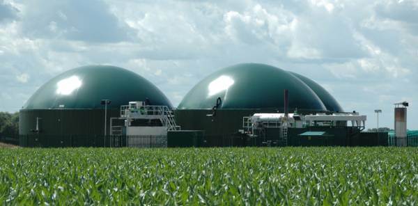 Biogas agricolo, nuovo impulso dal Dl “taglia-prezzi”