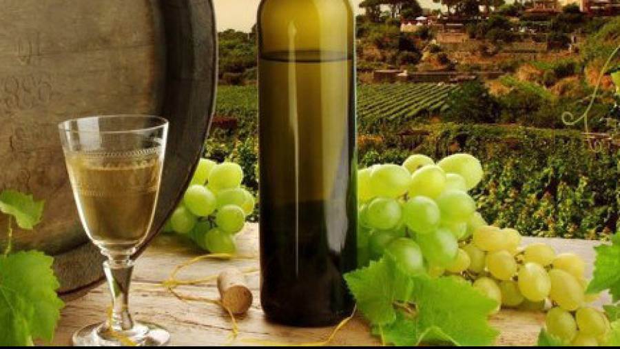 Mipaaf conferma l’incarico al Consorzio tutela denominazioni vini Frascati