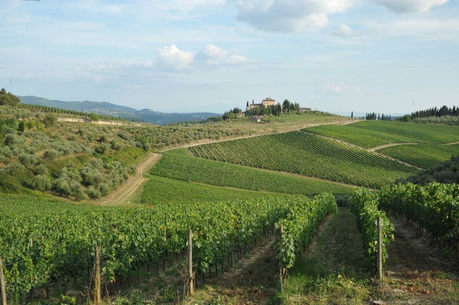 Regione Toscana a fianco del Chianti Classico per la candidatura del Paesaggio a Patrimonio dell’Umanità