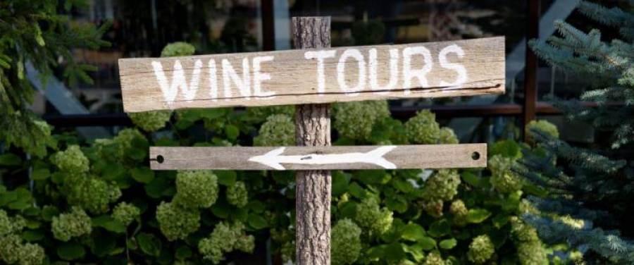Palmucci (Enit): il turismo del vino è cultura, sostenibilità e innovazione