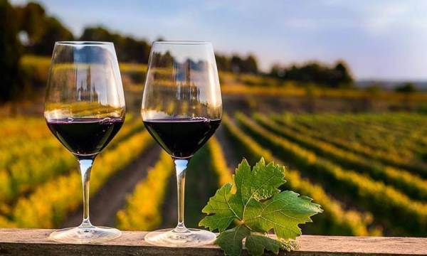 Dalla Conferenza Mondiale dell'Enoturismo ecco le tendenze dei nuovi wine-lovers