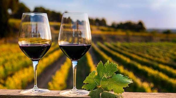 Nasce la prima scuola pratica di viticoltura ed enologia per aspiranti winemakers