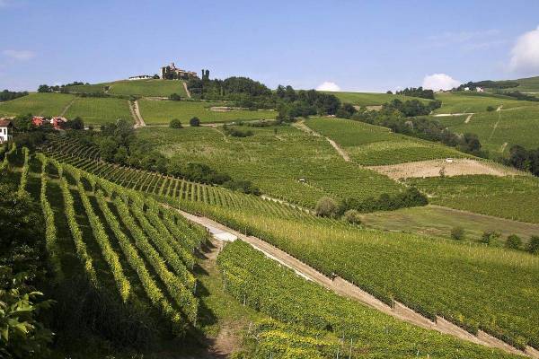 Ratifica dell’accordo Ue-Canada: i benefici per vini e spiriti italiani