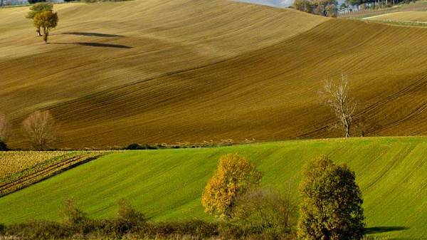 Agroalimentare, si riduce il peso del bio nel 2022