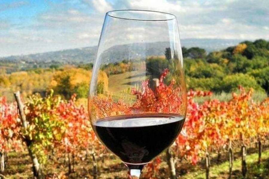 Proposta di modifica del disciplinare di produzione dei vini a DOCG Taurasi