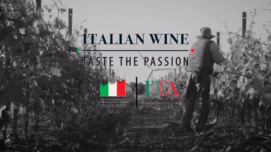 I lettori di Wine Spectator promuovono i vini italiani:  raffinati come il design Made in Italy