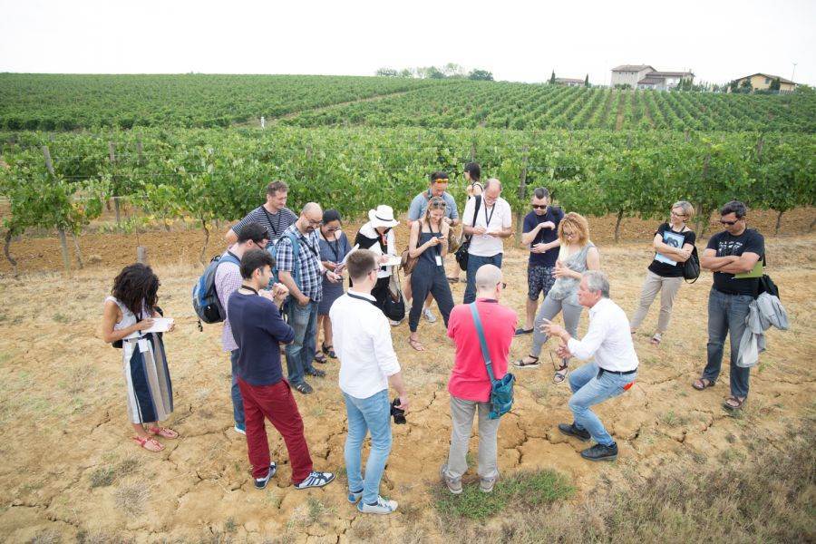 Per Collisioni non solo Langa: giornalisti ed esperti internazionali alla scoperta dei vini nobili del Monferrato