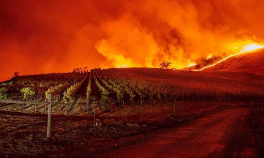 California: gli incendi distruggono 18 cantine in Napa Valley