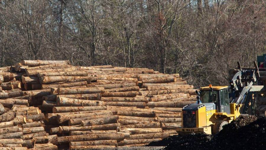 United States: Future of white oak used by bourbon sector appears dire