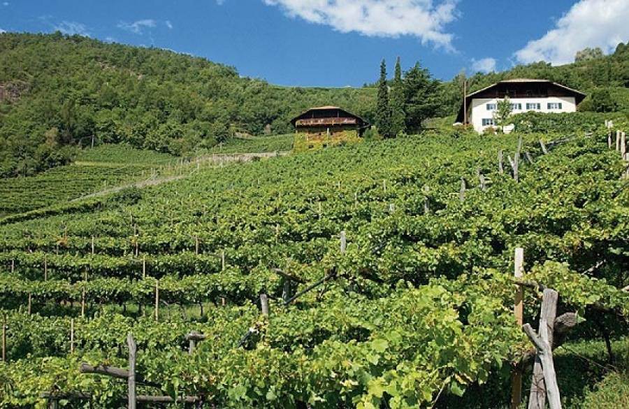 Ue approva le modifiche al disciplinare dei vini a IGT Mitterberg