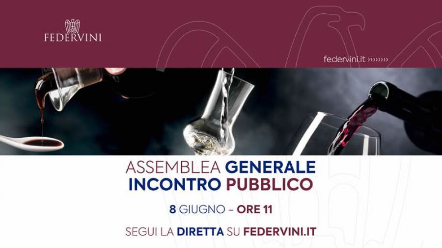 Federvini, Assemblea Generale 2022 (video): i temi, gli interventi, i contenuti
