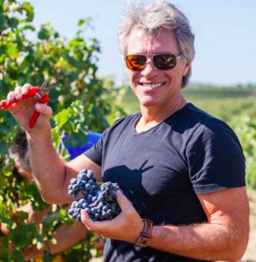 Il miglior rosé del mondo? Wine Spectator non ha dubbi: è quello di Bon Jovi