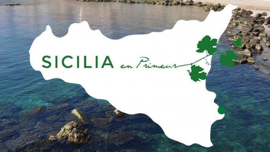 Consorzio di tutela vini Doc Sicilia, limitato al 5% il calo di produzione 2020