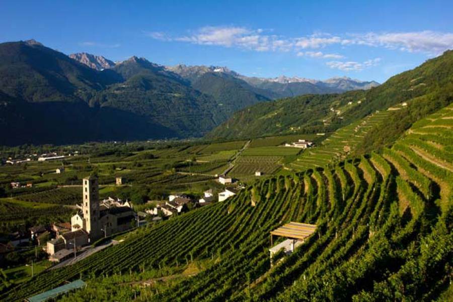 Nuova Pac: le richieste di 10 Paesi (Francia capofila) per il settore vinicolo