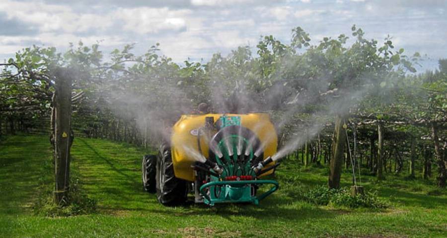Effetto Green Deal: l&#039;Europa vieta i fitosanitari che mettono a rischio gli impollinatori