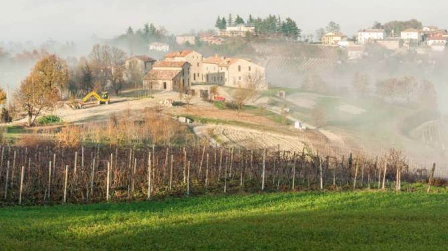 Mipaaf conferma incarico al Consorzio tutela vini Oltrepò Pavese