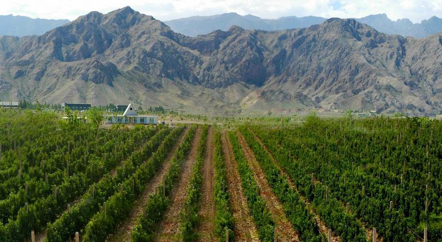 Cina: approvato un piano di sviluppo del vino di 15 anni per la regione di Ningxia