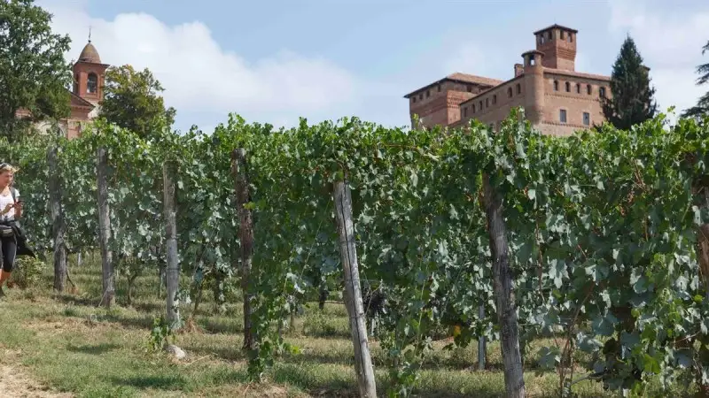 Passeggiare tra i vitigni centenari delle Langhe