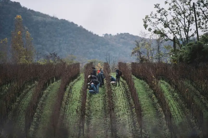 Al via 11a edizione dei corsi della Scuola Italiana di Potatura della Vite