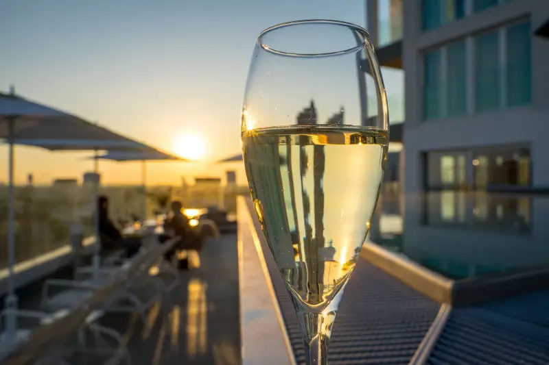 Cile: studi per l&rsquo;utilizzo alimentare dei residui di produzione di vino e birra