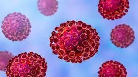 There's a link between Brexit, the tariff war and Covid-19