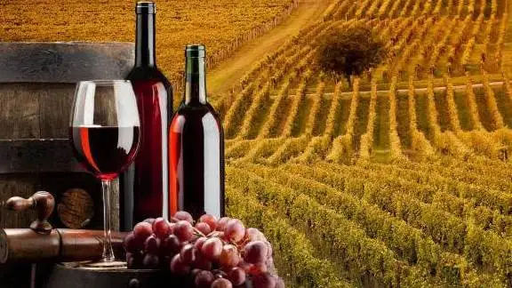 Revocato l&rsquo;incarico al Consorzio di tutela Grottino di Roccanova