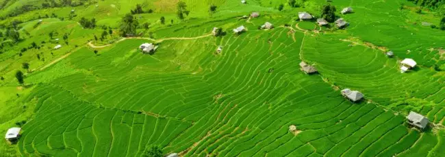 Usa-Thailandia: aggiornato il quadro normativo su importazioni alimentari e agricole