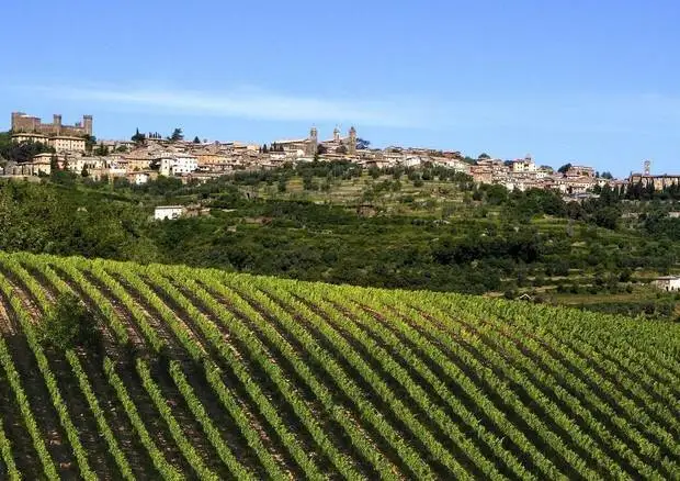 Accolta la richiesta di riduzione rese per Chianti e Brunello di Montalcino
