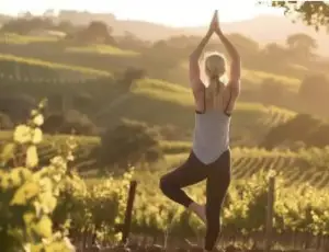 Torna Vigneti Aperti, il calendario di appuntamenti di enoturismo