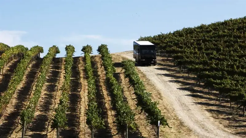 Documenti per il trasporto dei prodotti vitivinicoli: cosa cambia dal 1° gennaio 2021