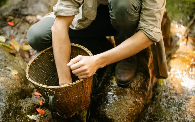 Ismea: le imprese dei giovani agricoltori italiani pi&ugrave; dinamiche e efficienti della media